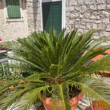 Luxury Laz Apartman Split