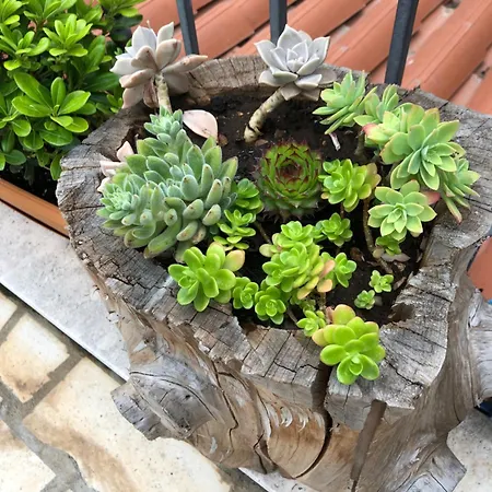 Luxury Laz Apartament Split