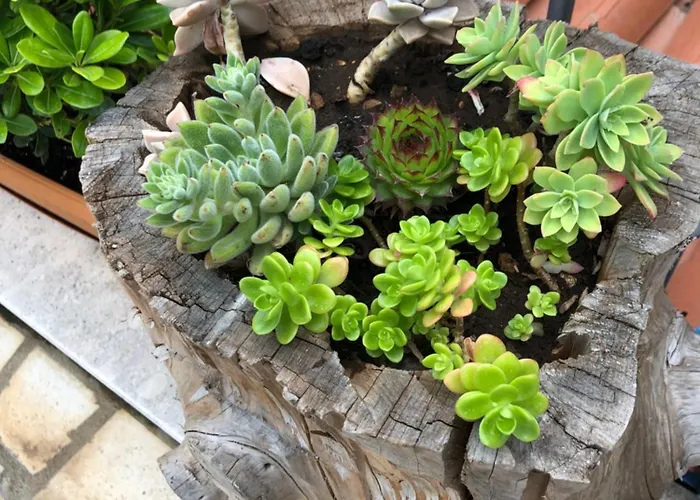 Luxury Laz شقة سبليت