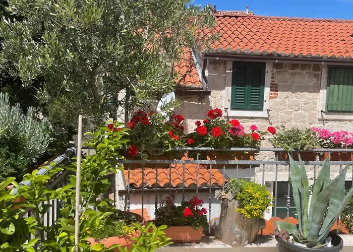 Luxury Laz * سبليت