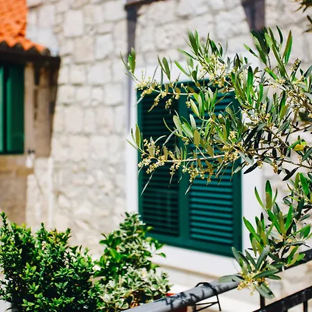 Luxury Laz 아파트 *