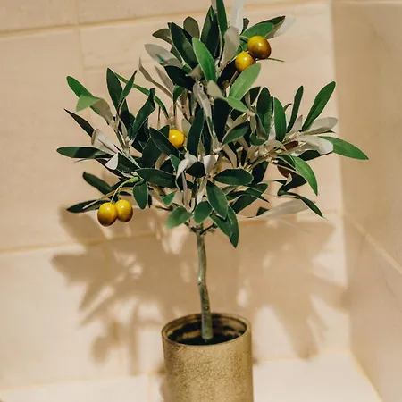 아파트 Luxury Laz 스플리트